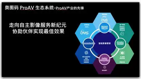 闪烁之光0.1折平台，揭秘0.1折平台，闪烁之光背后的神秘面纱