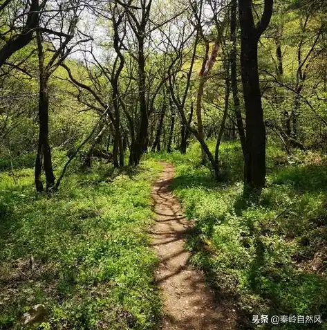 0.1折手游平台推荐，探秘0.1折手游平台，盘点热门游戏，轻松享受游戏盛宴！