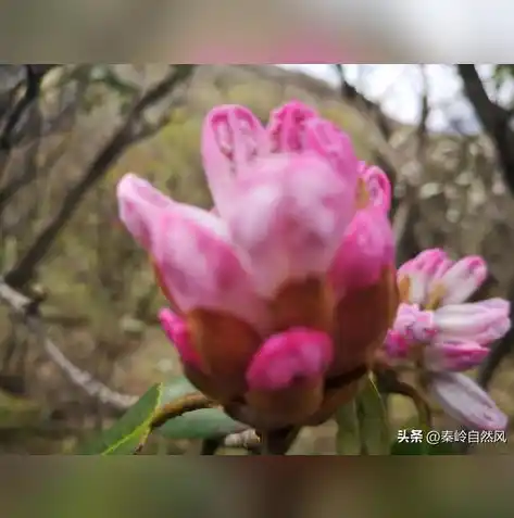 0.1折手游平台推荐，探秘0.1折手游平台，盘点热门游戏，轻松享受游戏盛宴！