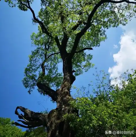 0.1折手游下载，探秘0.1折手游盛宴，下载攻略及热门游戏推荐