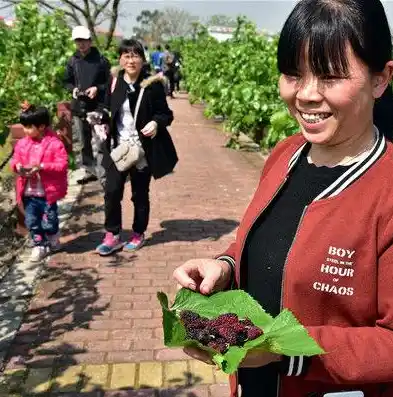 闪烁之光0.1折平台，揭秘闪烁之光0.1折平台，独家优惠，尽享游戏乐趣！