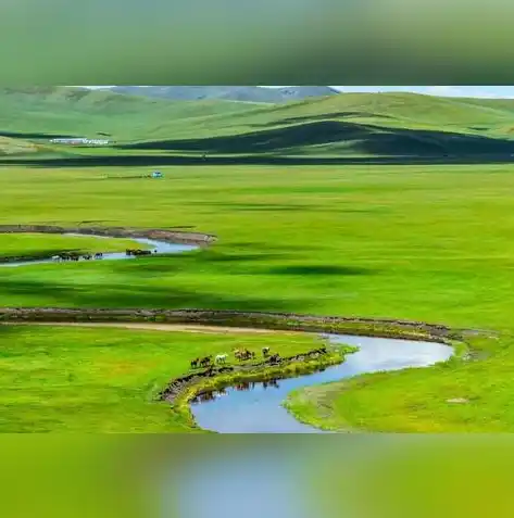 0.1折游戏平台，探秘0.1折游戏平台，低价游戏盛宴，你不可错过的游戏天堂！