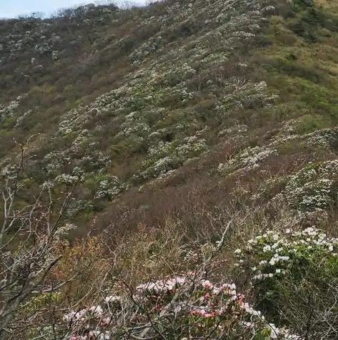 0.1折手游平台，探秘0.1折手游平台，揭秘低成本游戏盛宴的秘密