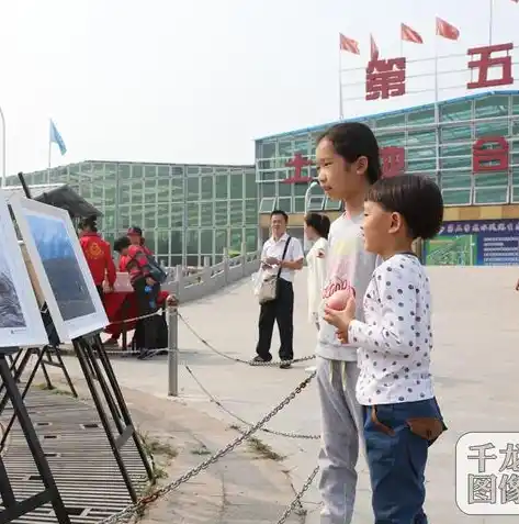 动物历险记0.1折游戏，动物历险记，0.1折畅玩奇境，开启奇幻冒险之旅！