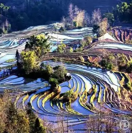 0.1折游戏平台，0.1折游戏平台，打造游戏爱好者们的天堂，让游戏体验不再昂贵！