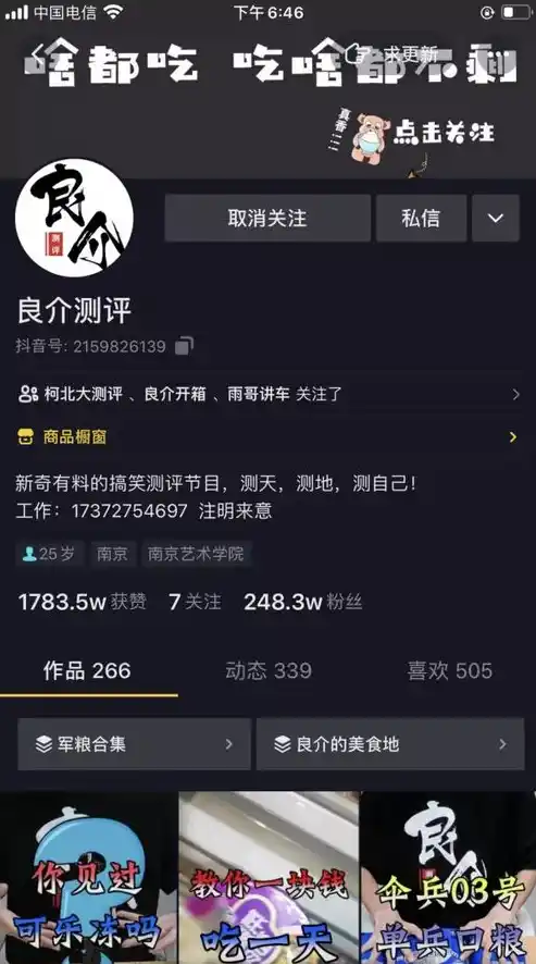 0.1折手游下载，揭秘0.1折手游背后的秘密，下载攻略与深度体验分享