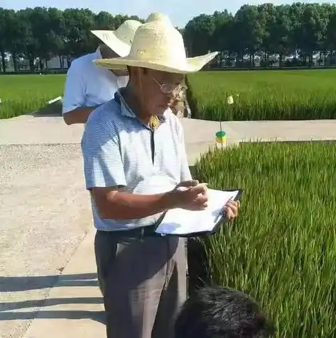 0.1折游戏平台，揭秘0.1折游戏平台，低成本畅玩游戏的秘密基地！