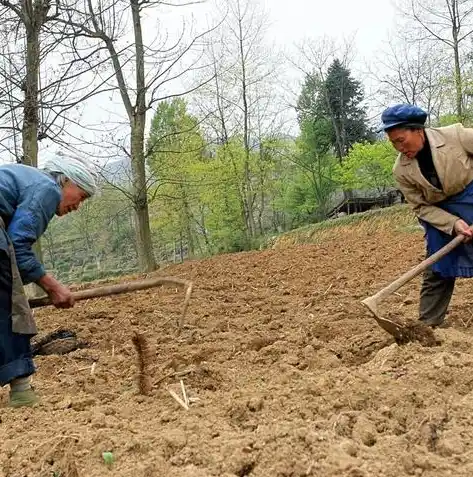 0.1折手游平台，揭秘0.1折手游平台，如何用最少的钱享受无限的游戏乐趣？