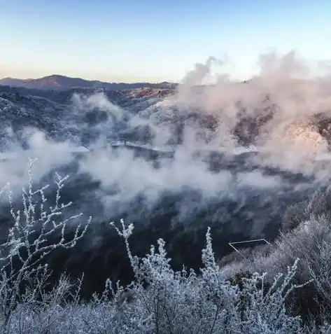 0.1折手游平台，揭秘0.1折手游平台，游戏爱好者们的天堂？还是陷阱？