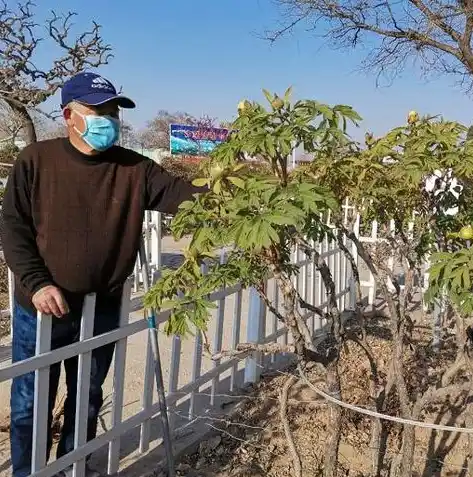 0.1折手游推荐，畅游江湖，尽享0.1折优惠！盘点热门手游中的隐藏珍品