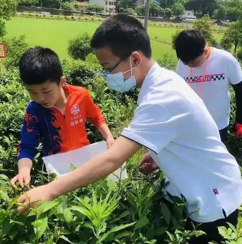 0.1折手游平台，探秘0.1折手游平台，揭秘低成本高收益的游戏新体验！