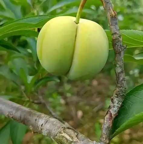 0.1折游戏平台，探秘0.1折游戏平台，带你领略游戏世界的低价奇迹