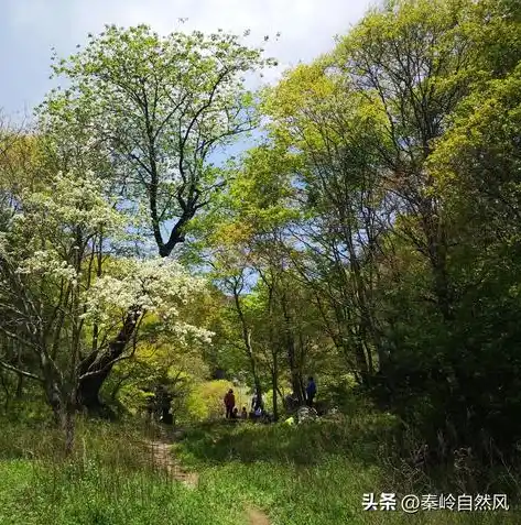 0.1折手游平台，探秘0.1折手游平台，揭秘低成本游戏盛宴背后的秘密