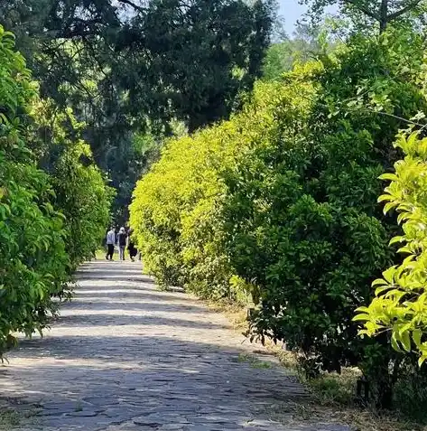 0.1折手游平台，探秘0.1折手游平台，让你轻松畅游游戏世界，尽享优惠福利！