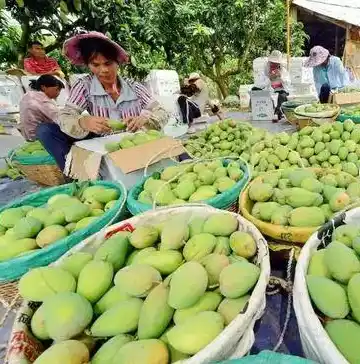 0.1折游戏平台，0.1折游戏平台，揭秘低价游戏盛宴，带你领略实惠购物新体验