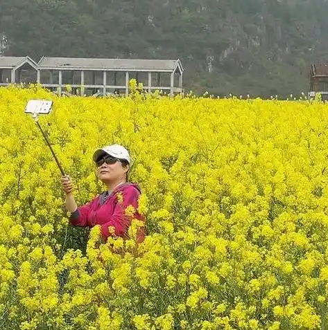 0.1折手游平台排行榜，探秘0.1折手游平台，盘点热门游戏排行榜，畅游低价游戏盛宴！