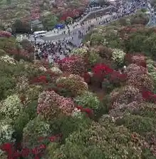 0.1折手游平台推荐，探秘0.1折手游平台，如何轻松拥有热门游戏？