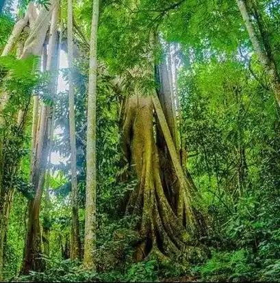 0.1折手游排行榜，手游市场独领风骚，揭秘0.1折手游排行榜的神秘面纱