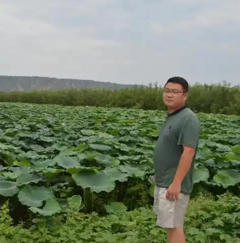 0.1折手游软件，揭秘0.1折手游背后的秘密，如何抓住机遇，享受游戏乐趣？