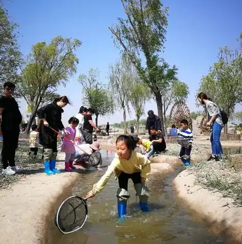 0.1折游戏平台，0.1折游戏平台，颠覆游戏市场的神奇乐园