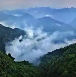 0.1折手游推荐，0.1折手游大放送盘点那些让你玩到停不下来的超值游戏，错过就是损失！