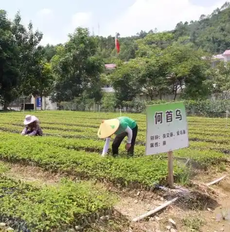 0.1折游戏平台，0.1折游戏平台，带你走进超值游戏的世界