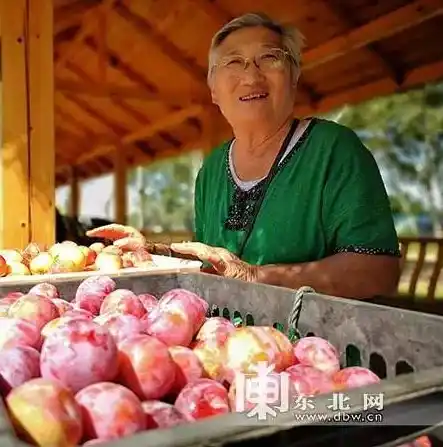 0.1折手游平台，探秘0.1折手游平台，如何以极低折扣畅享热门游戏？