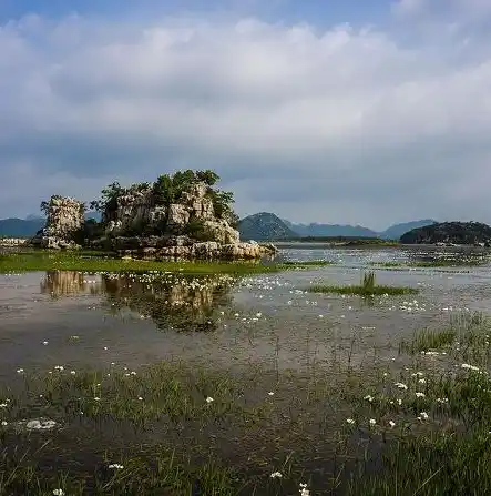 0.1折手游平台推荐，探索0.1折手游天堂，盘点五大性价比爆表的0.1折平台，让你畅玩无压力！