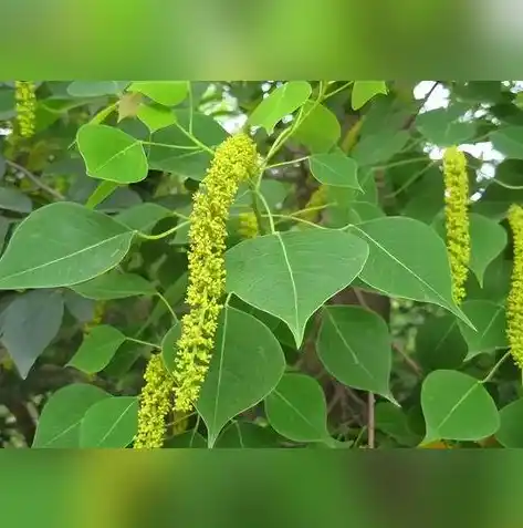 0.1折手游平台排行榜，揭秘0.1折手游平台排行榜，探寻那些隐藏的宝藏游戏