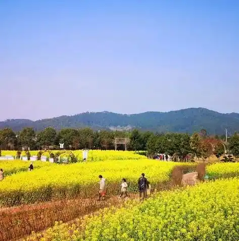 0.1折游戏盒，0.1折游戏盒，揭秘游戏界的白菜价盛宴，让你轻松畅游游戏世界！