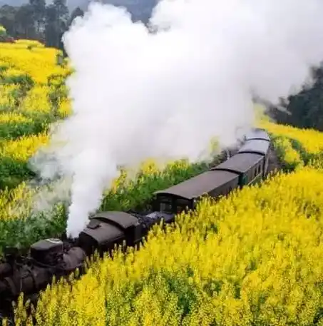 0.1折游戏套路，绝版优惠！仅需0.1折，带你领略游戏世界的奇幻之旅！