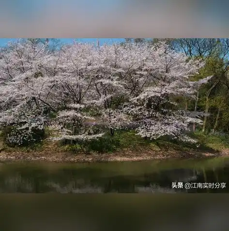 0.1折游戏平台，揭秘0.1折游戏平台，如何用最少的钱玩到最棒的游戏？