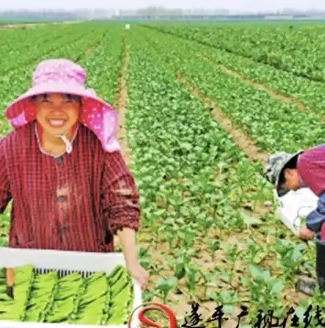 0.1折手游平台推荐，揭秘0.1折手游平台，海量游戏低价狂欢，让你的钱包笑开颜！