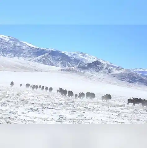 0.1折游戏平台，探索未知世界，尽在0.1折游戏平台——你的专属游戏天堂！