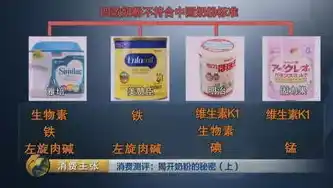 伏魔记0.1折平台，揭秘伏魔记0.1折平台，疯狂优惠背后的真相与福利