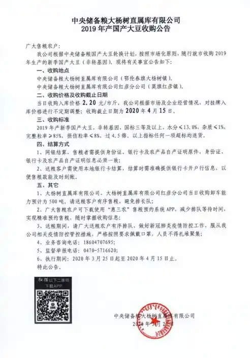 闪烁之光0.1折平台，揭秘闪烁之光0.1折平台，独领风骚的购物盛宴，你准备好了吗？