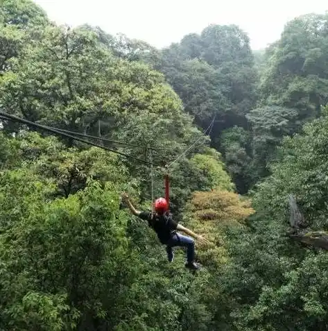 0.1折手游平台哪个好，揭秘0.1折手游平台，盘点市面上最佳平台，助你轻松畅游游戏世界！