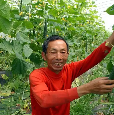 0.1折手游平台，揭秘0.1折手游平台，如何实现游戏资源的白菜价狂欢？