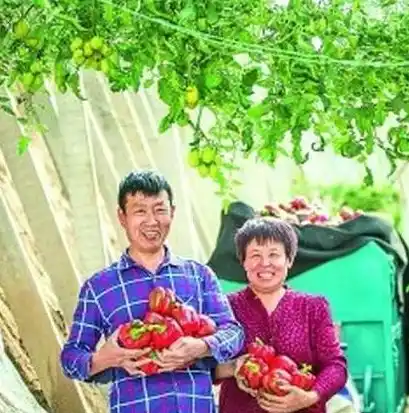 0.1折手游平台，探秘0.1折手游平台，揭秘低成本高收益的游戏世界