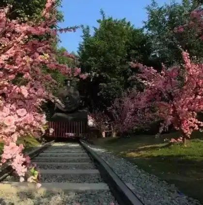 0.1折游戏套路，0.1折狂欢！神秘游戏大揭秘，限时抢购，错过等一年！