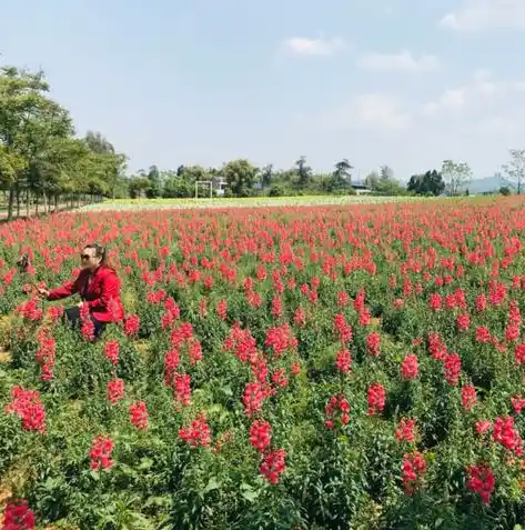 0.1折游戏平台，探索0.1折游戏平台的神秘之旅，低价游戏盛宴等你来尝！