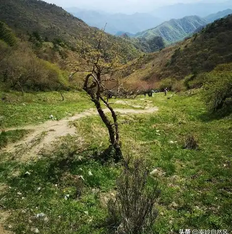 0.1折手游平台，探秘0.1折手游平台，如何享受超低折扣的游戏盛宴？