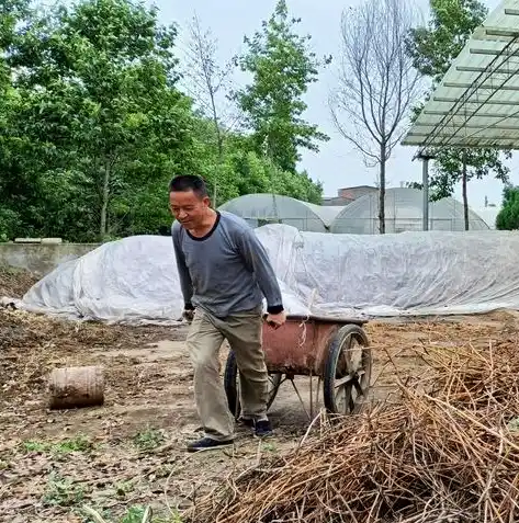 0.1折游戏平台，探秘0.1折游戏平台，如何低成本享受高品质游戏体验？