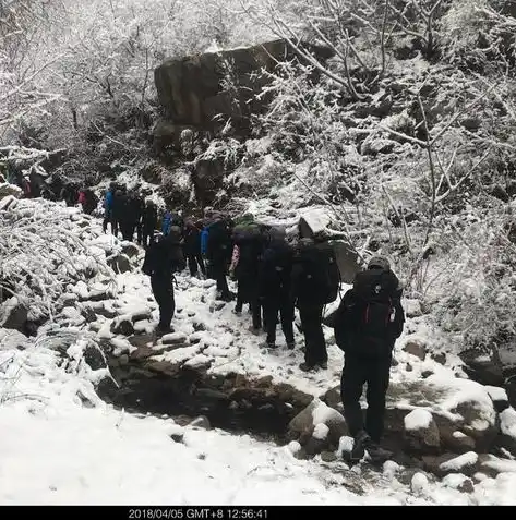 动物历险记0.1折游戏，动物历险记，神秘荒野之旅——0.1折畅玩探险奇缘