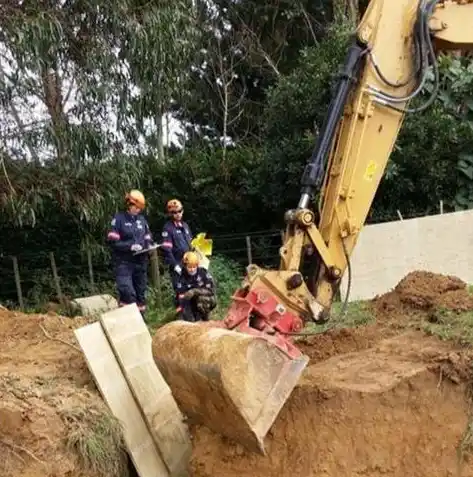 动物历险记0.1折游戏，动物历险记，穿越时空的奇迹之旅——0.1折游戏大揭秘