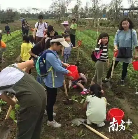 0.1折手游平台，探秘0.1折手游平台，低成本畅玩热门游戏的秘密基地