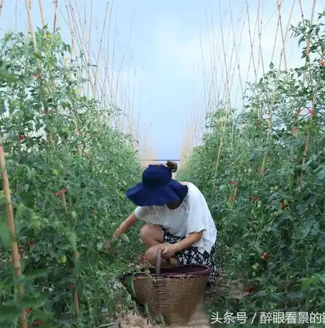 0.1折手游平台，探秘0.1折手游平台，低价享受游戏乐趣，你敢尝试吗？