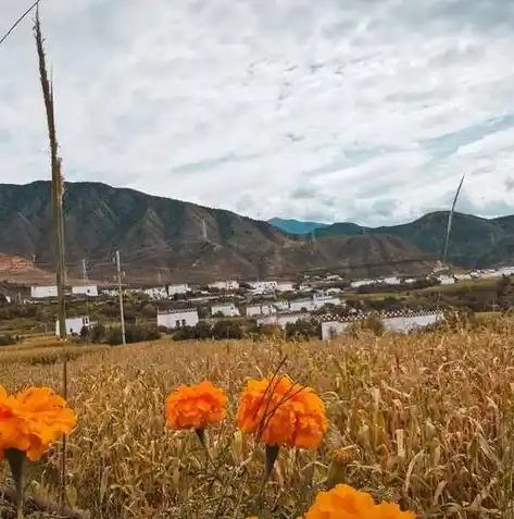 0.1折游戏平台，探索0.1折游戏平台的奇迹之旅，低价游戏的全新体验