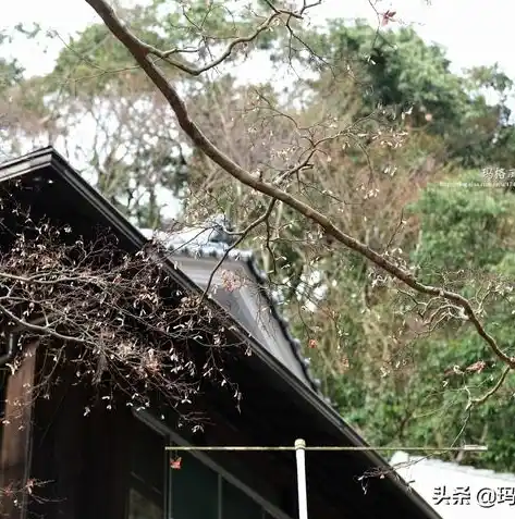 0.1折游戏平台，0.1折游戏平台，开启你的省钱游戏之旅，海量游戏任你畅玩！