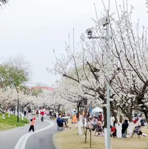 0.1折手游平台app排行榜，揭秘0.1折手游平台APP排行榜，爆款游戏尽在掌握，错过你就亏大了！